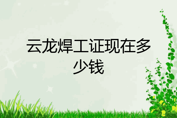 云龙焊工证现在多少钱