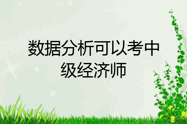 数据分析可以考中级经济师