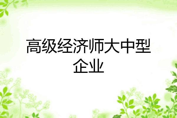 高级经济师大中型企业