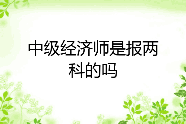 中级经济师是报两科的吗