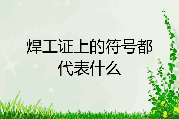 焊工证上的符号都代表什么