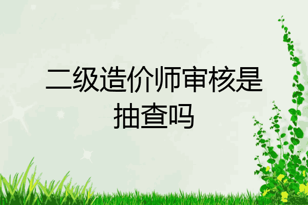 二级造价师审核是抽查吗