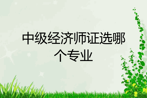 中级经济师证选哪个专业