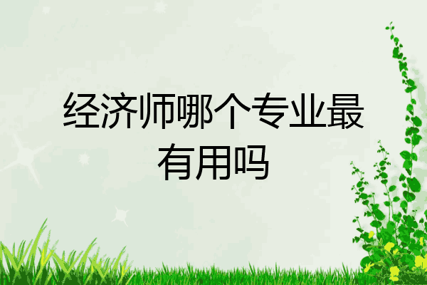 经济师哪个专业最有用吗