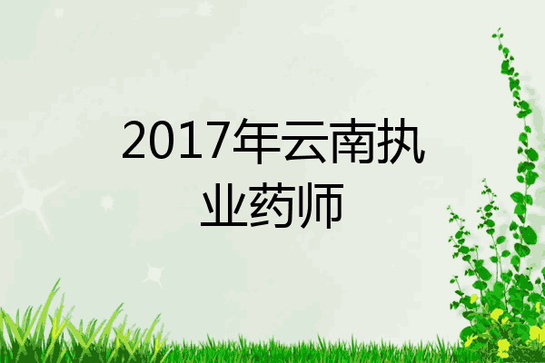 2017年云南执业药师