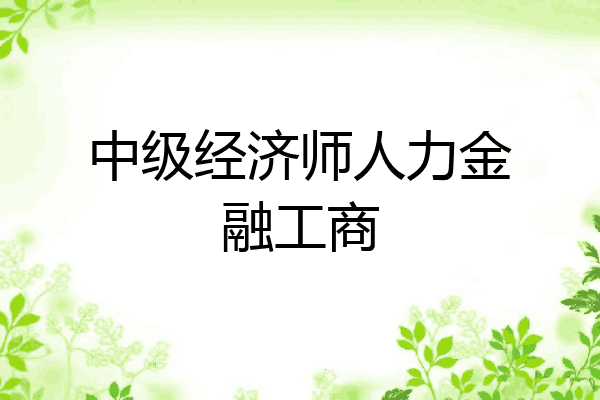 中级经济师人力金融工商