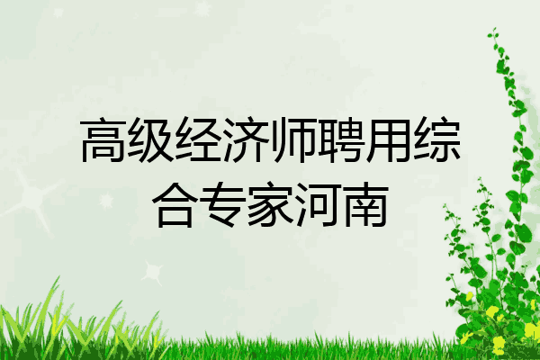 高级经济师聘用综合专家河南