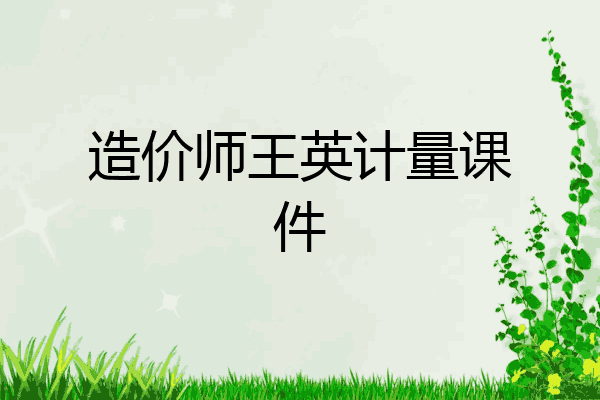 造价师王英计量课件