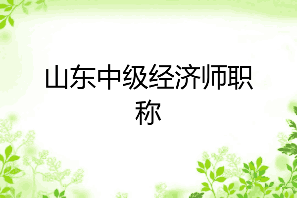 山东中级经济师职称