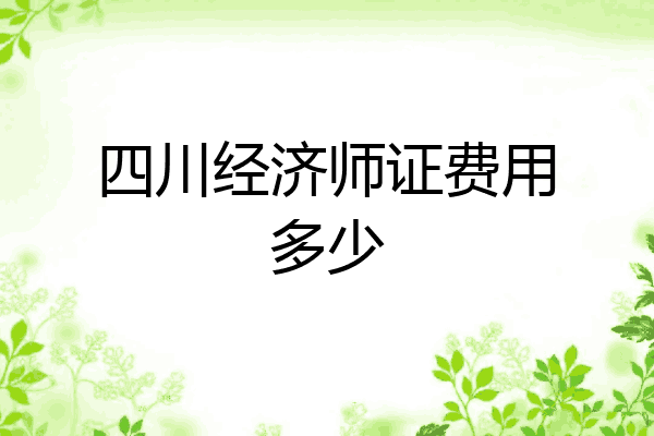 四川经济师证费用多少