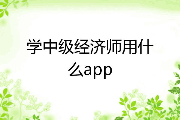 学中级经济师用什么app