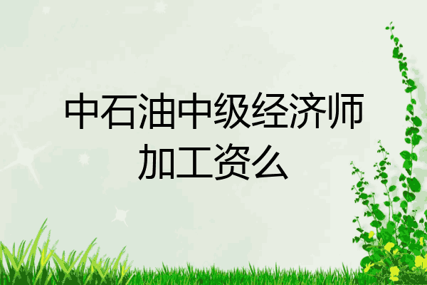 中石油中级经济师加工资么