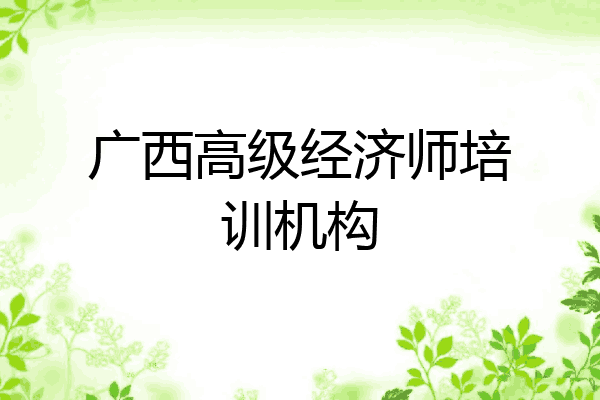 广西高级经济师培训机构