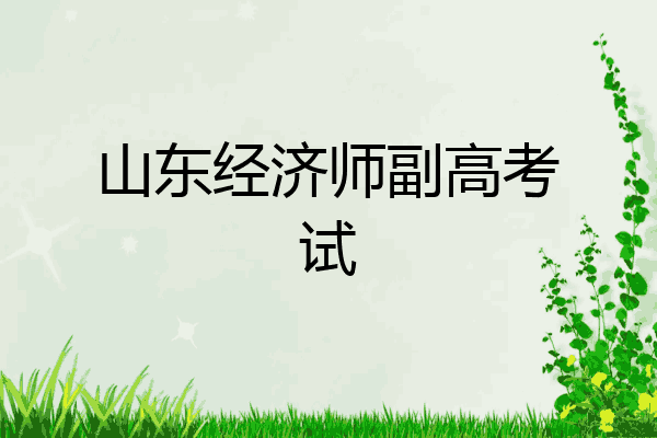 山东经济师副高考试