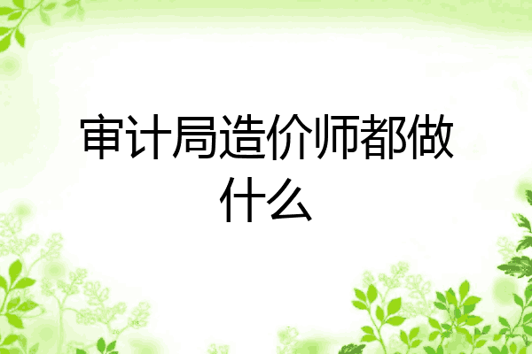 审计局造价师都做什么