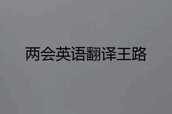 两会英语翻译王路