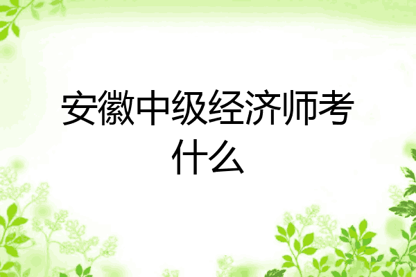 安徽中级经济师考什么