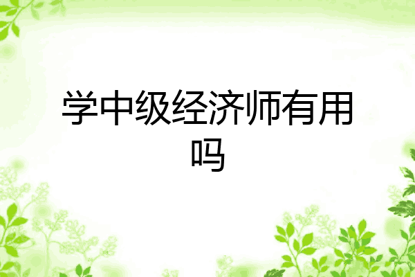 学中级经济师有用吗