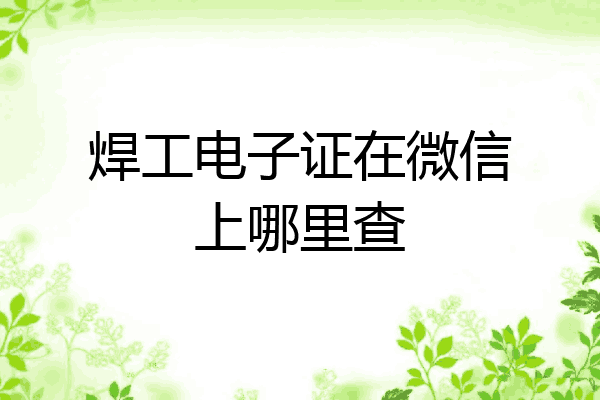 焊工电子证在微信上哪里查