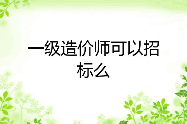 一级造价师可以招标么