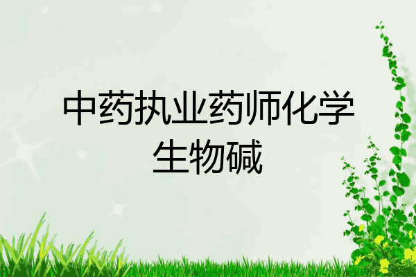 中药执业药师化学生物碱