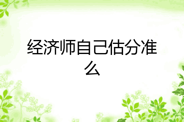 经济师自己估分准么