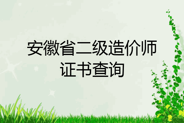 安徽省二级造价师证书查询