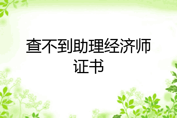 查不到助理经济师证书