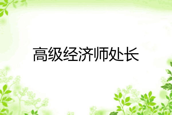 高级经济师处长