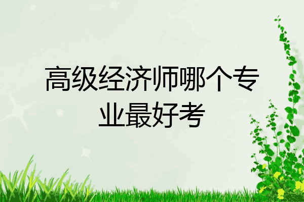 高级经济师哪个专业最好考