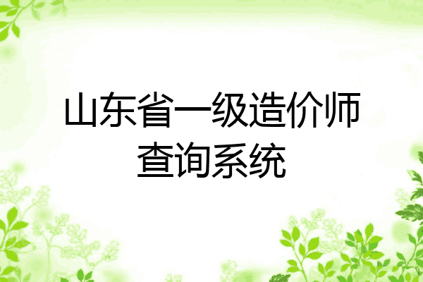 山东省一级造价师查询系统