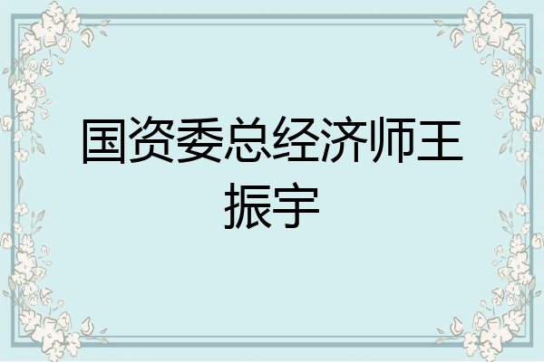 国资委总经济师王振宇