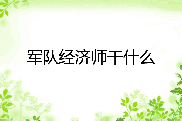 军队经济师干什么