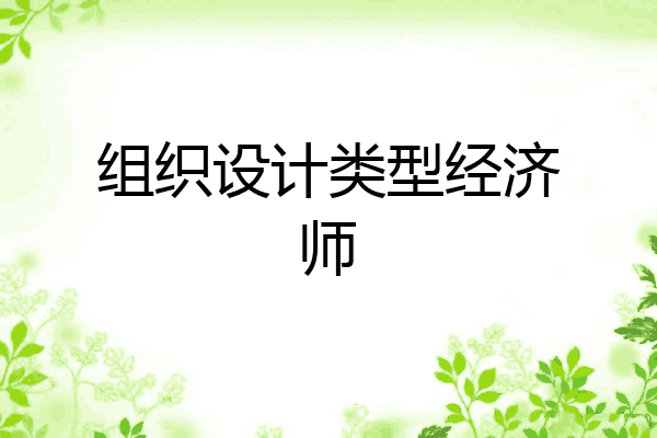 组织设计类型经济师