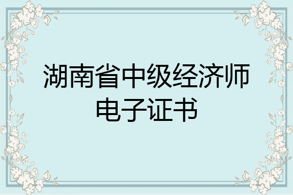 湖南省中级经济师电子证书