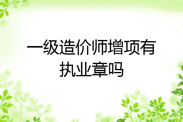 一级造价师增项有执业章吗