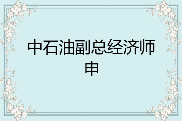 中石油副总经济师申