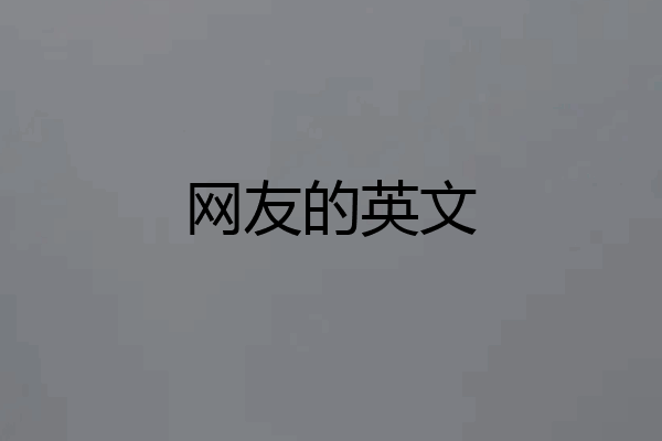 网友的英文