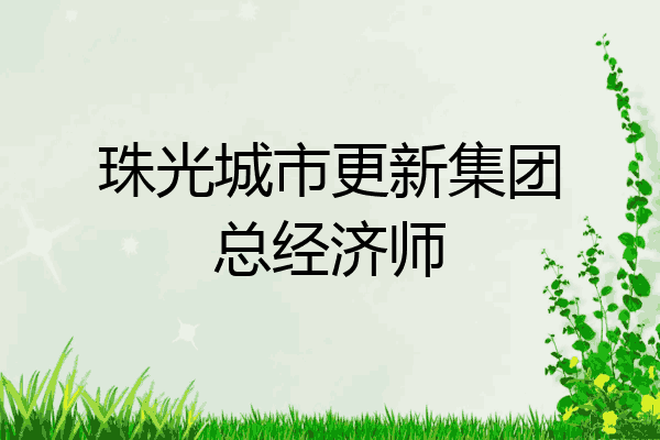 珠光城市更新集团总经济师