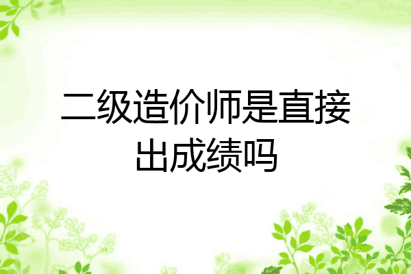 二级造价师是直接出成绩吗