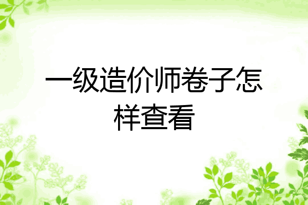 一级造价师卷子怎样查看