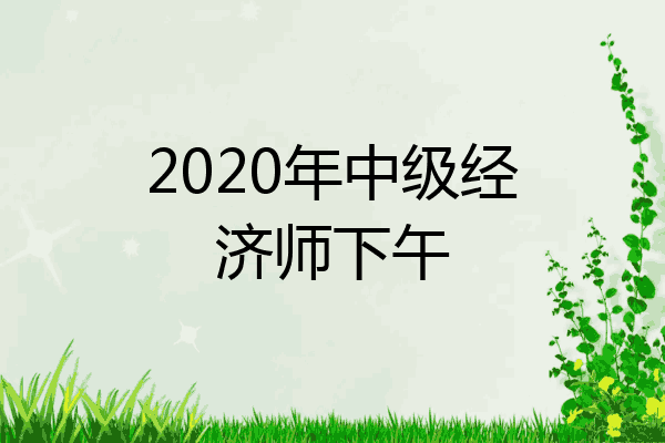 2020年中级经济师下午
