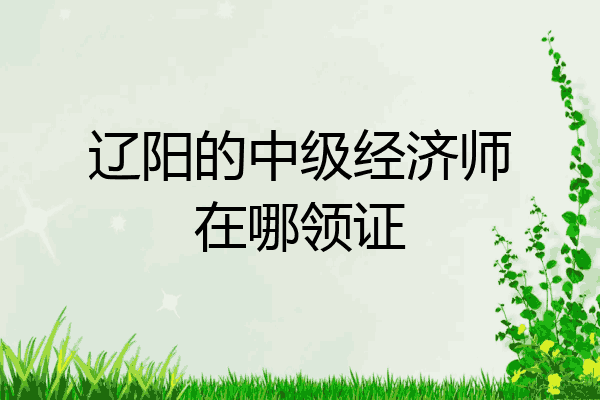 辽阳的中级经济师在哪领证