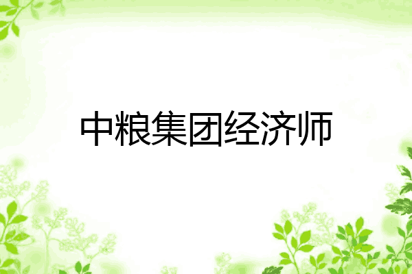 中粮集团经济师