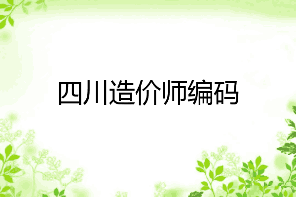 四川造价师编码
