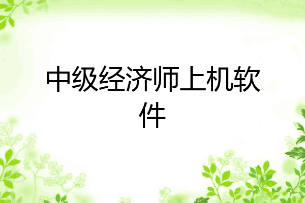 中级经济师上机软件