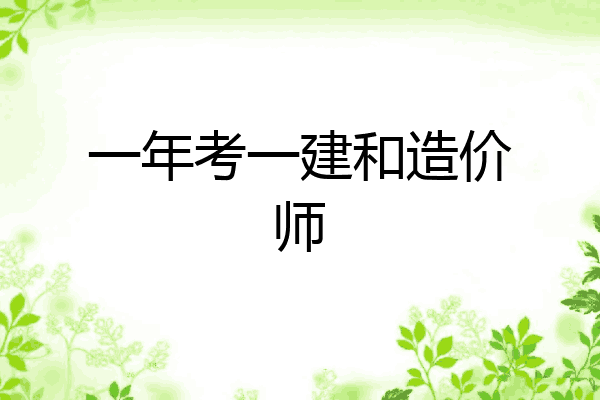 一年考一建和造价师