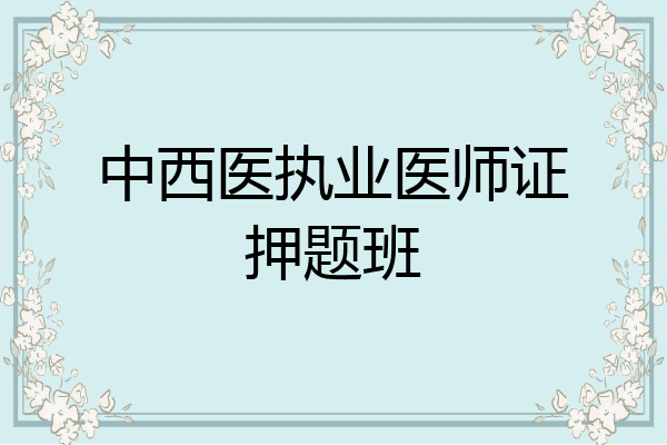 中西医执业医师证押题班