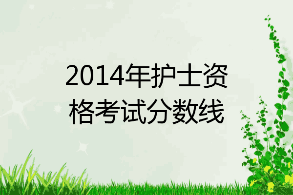 2014年护士资格考试分数线
