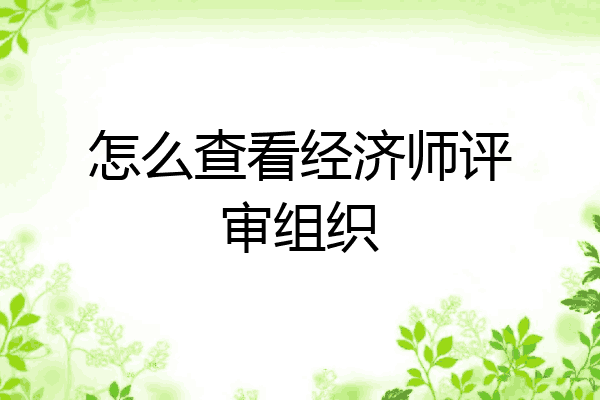 怎么查看经济师评审组织